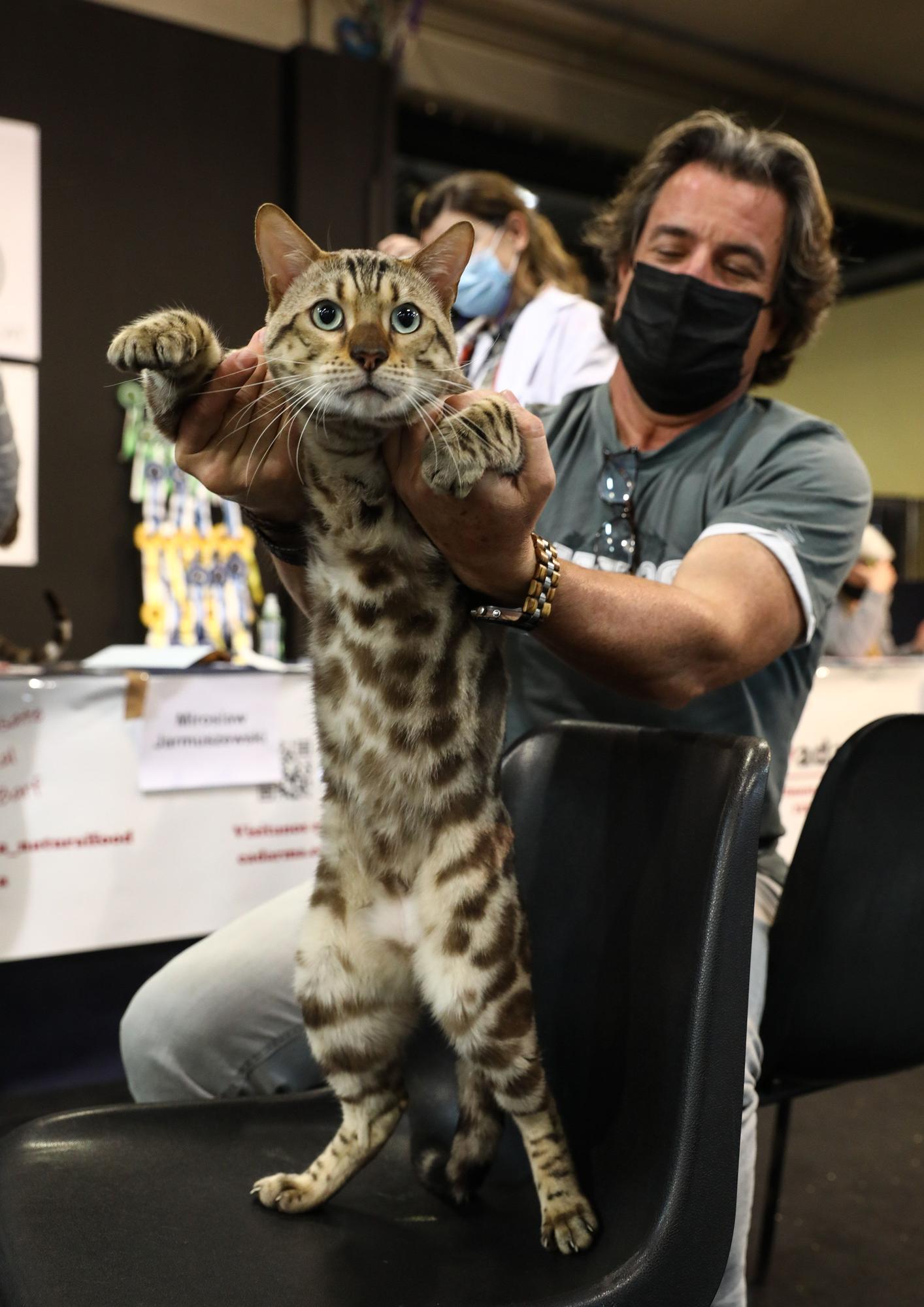 El recinto ferial acoge una nueva edición de Espacio Mascotas