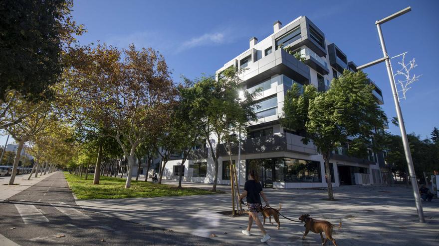 Балеарские острова теряют 'золотые визы'