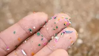 Los microplásticos son "químicamente activos" y tienen potencial para "causar daños biológicos"