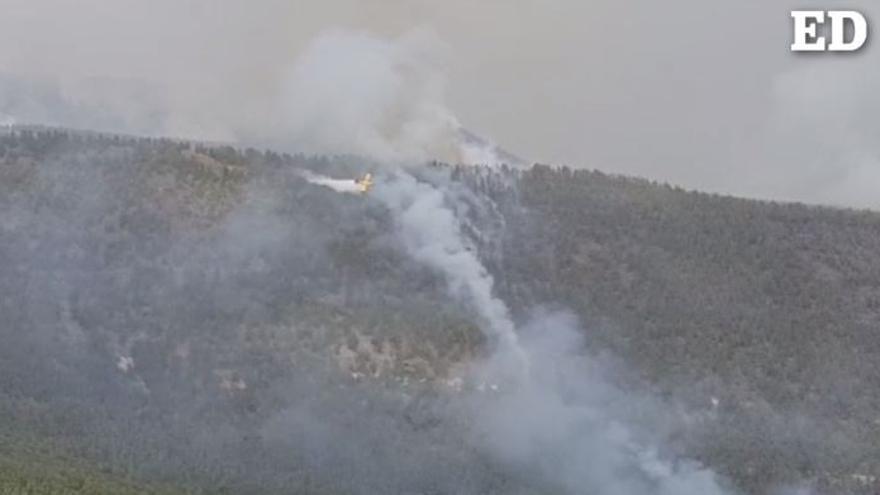 Evolución del incendio ofrestal en tenerife (24/07/2022)