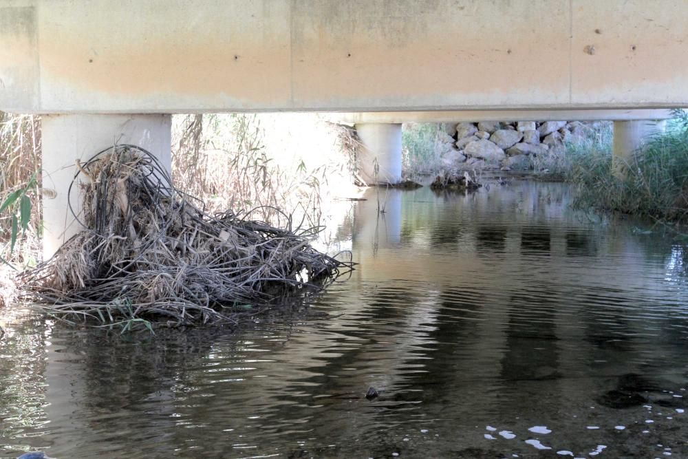 La rambla de El Albujón, epicentro de los vertidos al Mar Menor