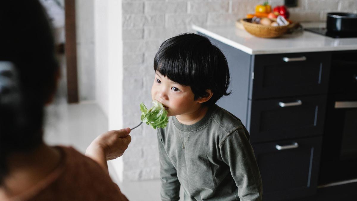 My child does not want to eat: how parents' attitudes condition children's relationship with food My child does not want to eat: how parents' attitudes condition children's relationship with food