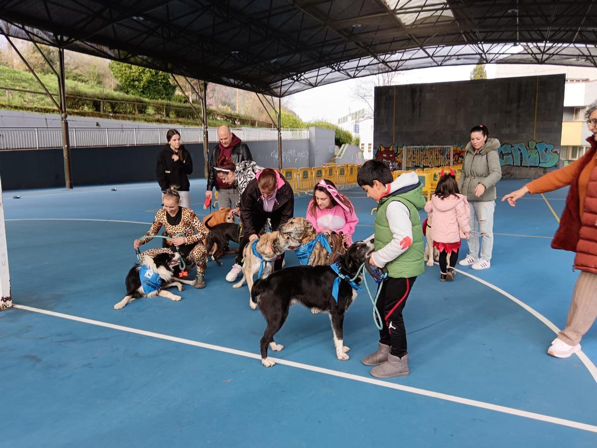 El desfile de mascotas de Grado, en imágenes