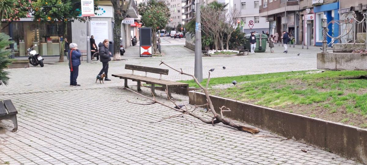 La rama junto a unos bancos.