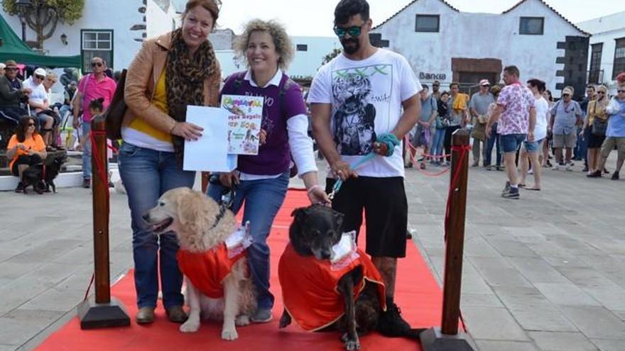 Concurso de disfraces de mascotas en Teguise