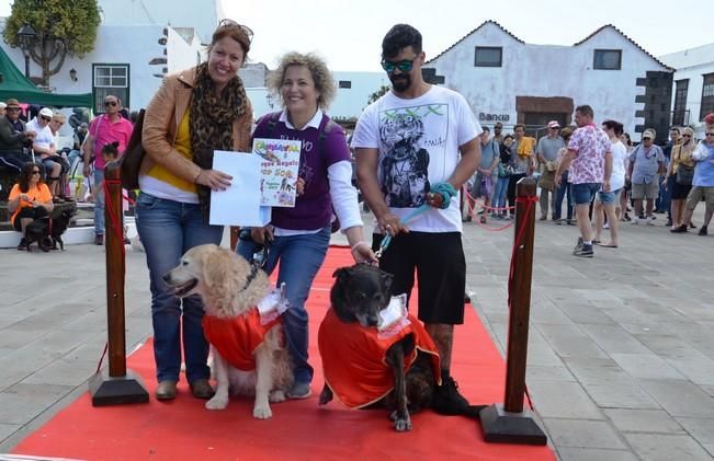 Concurso de disfraces de mascotas en Teguise