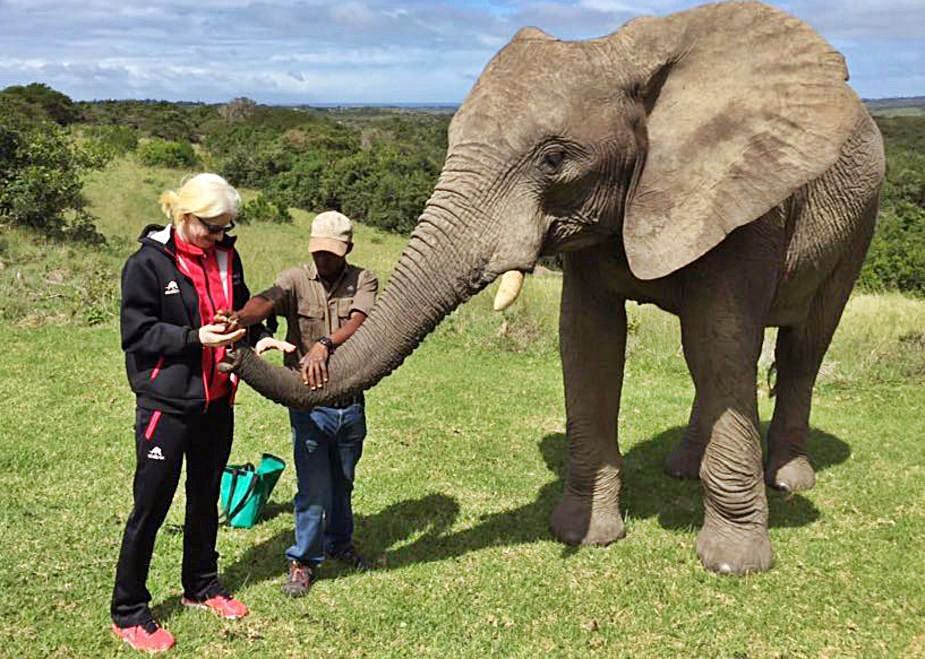 En una visita a Suráfrica en las Series Mundiales.