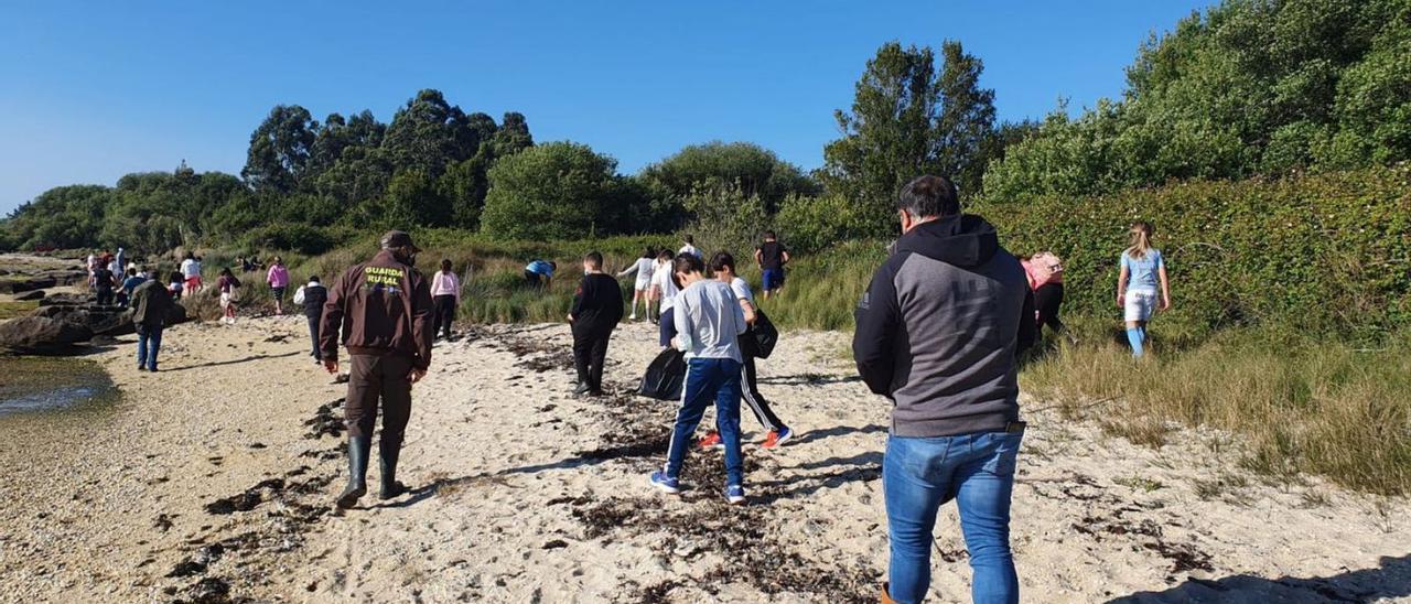 Una actividad impulsada por la Cofradía de A Illa con escolares del colegio Torre.