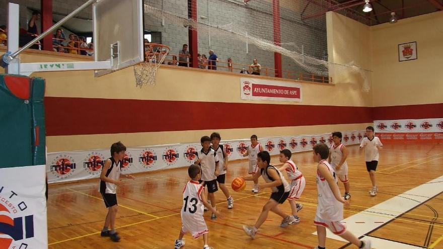 El curso está organizado por el Club Baloncesto Aspe.