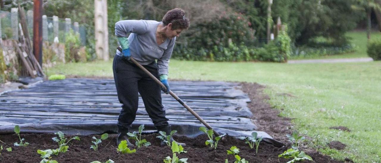 Una mujer trabaja en su huerta en A Estrada.