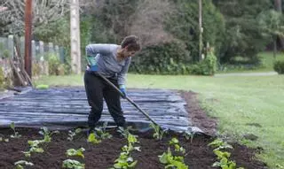 Galicia pierde un 13% de sus huertos familiares en cuatro años por el envejecimiento del rural