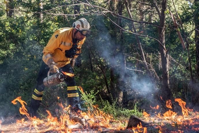 La UME realiza prácticas de prevención de incendios en Gran Canaria