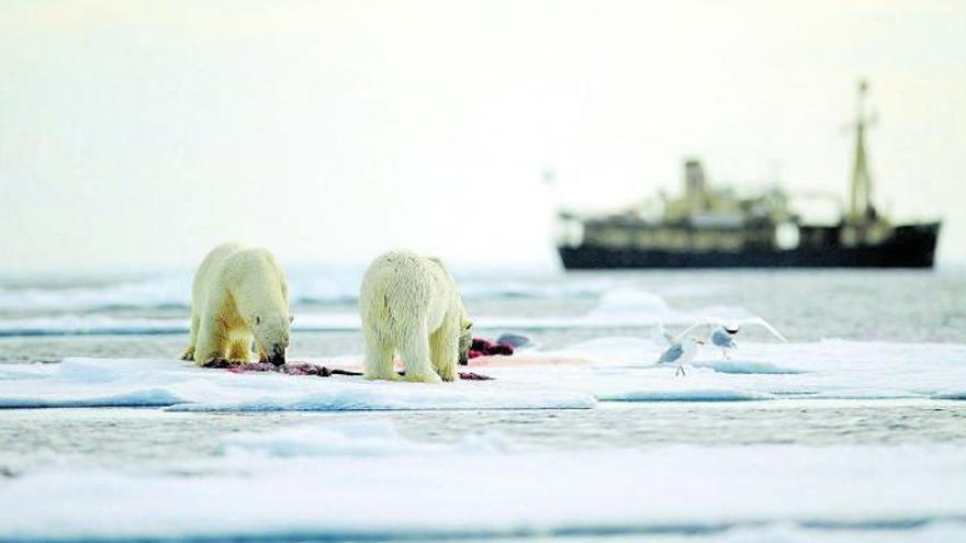 El clima obre l’àrtic als vaixells