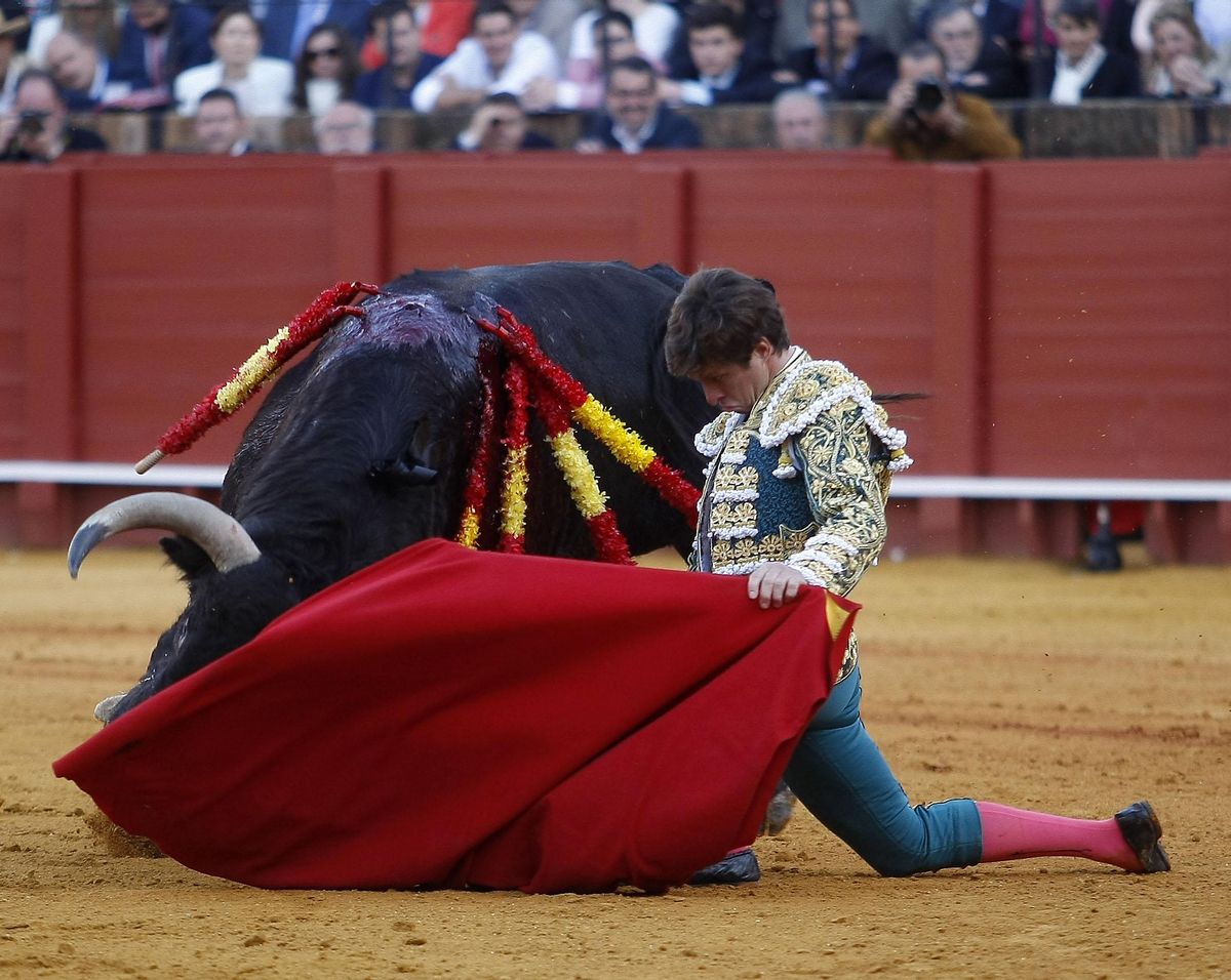 El Juli, que ha comenzado la temporada como un huracán, vuelve a Castellón el viernes 25 de junio para hacer el paseíllo con Morante y Aguado.