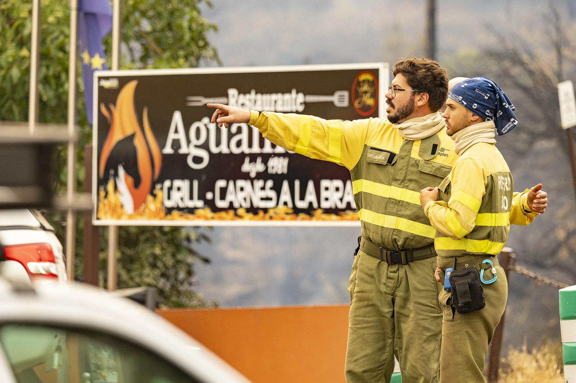 L'incendi forestal de Tenerife, en imatges