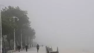 De llenar Samil a no ver el sol: Vigo amanece cubierto de niebla tras un fin de semana de calor sofocante