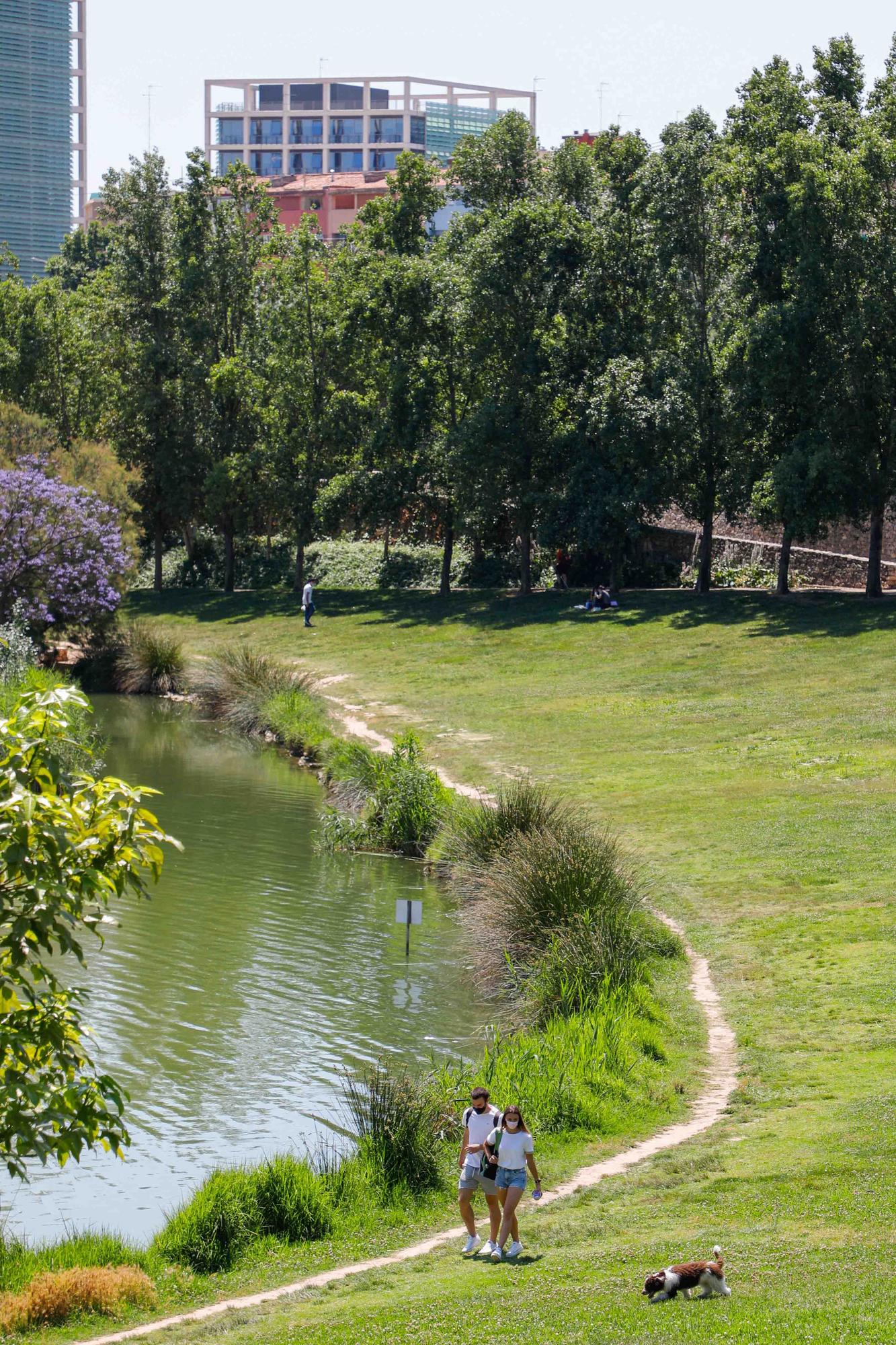 Parque de Cabecera, uno de los pulmones de València