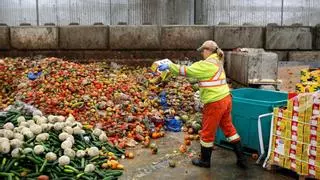 La comida que va a la basura consume la cuarta parte del agua de la agricultura