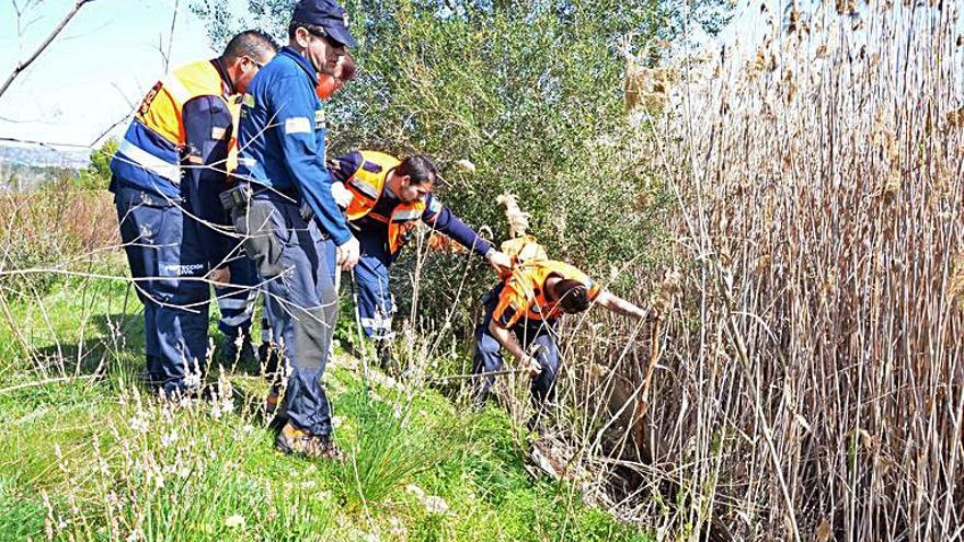 Una de las búsquedas realizadas en Son Ferrer.