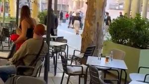 VÍDEO | Baralla multitudinària en ple centre de Manresa