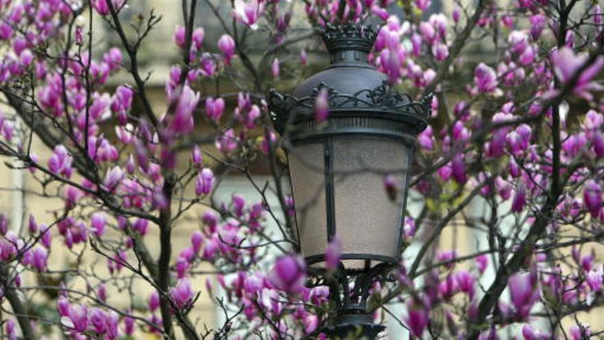 La primavera llega con frío