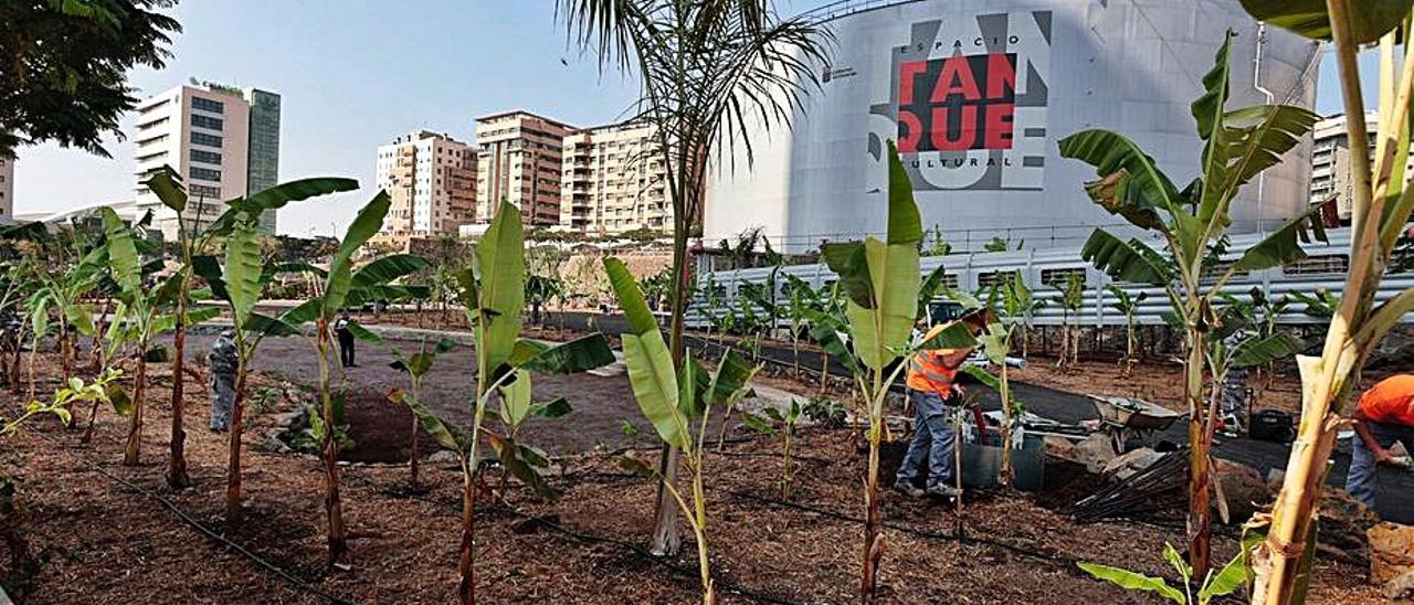 Nueva zona verde junto al Espacio Cultural El Tanque.