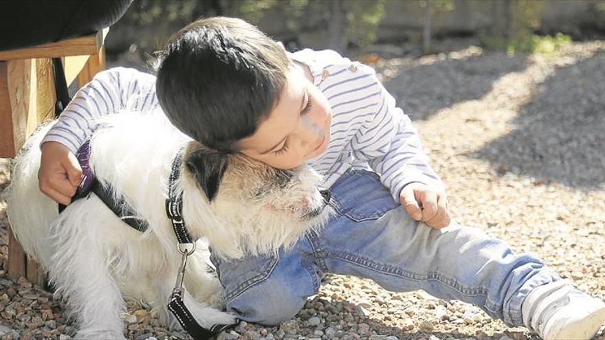 Un superperro contra la diabetes