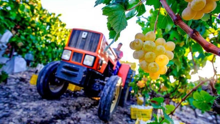 Los tractoristas no entendían cómo se agotaban tan pronto los depósitos de sus vehículos.