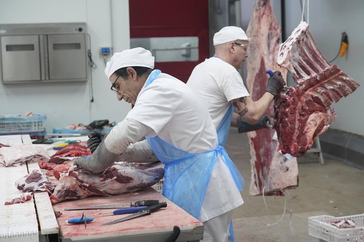 Les fotos de l'especejament de la vedella Bencriada