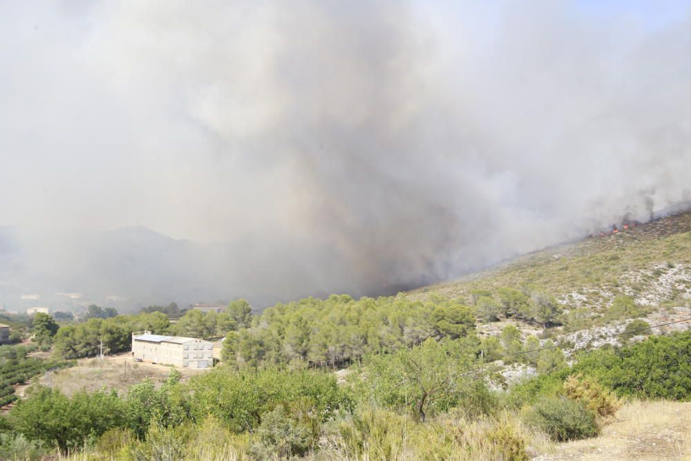 Incendio forestal en Llutxent