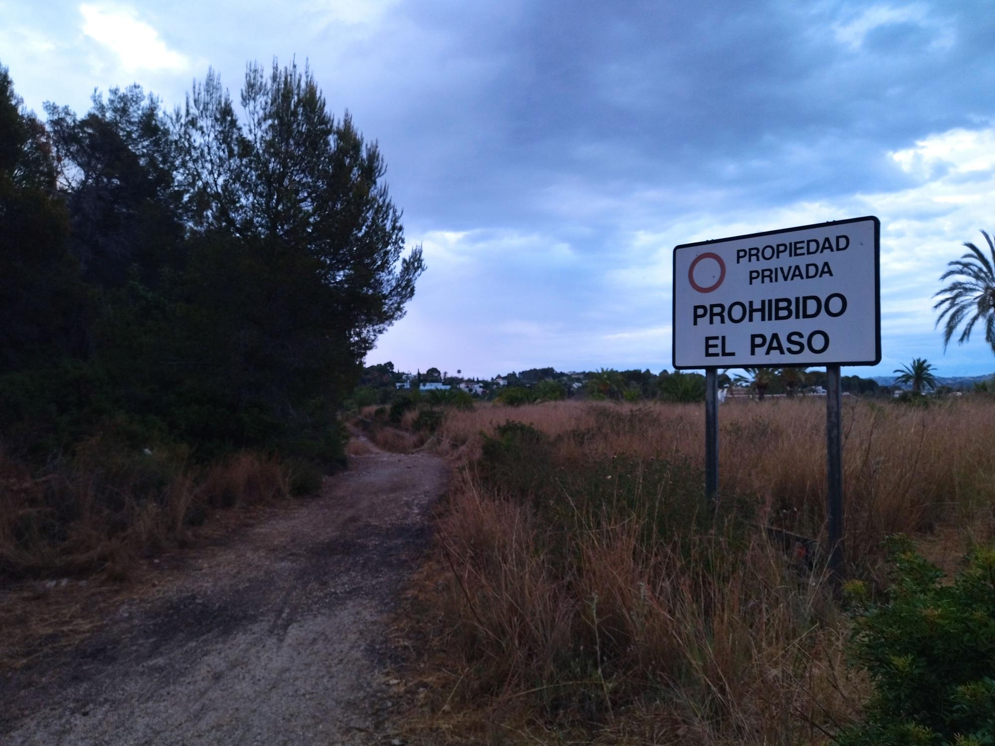 La lluvia refresca el bosque calcinado por el enésimo incendio en el Montgó