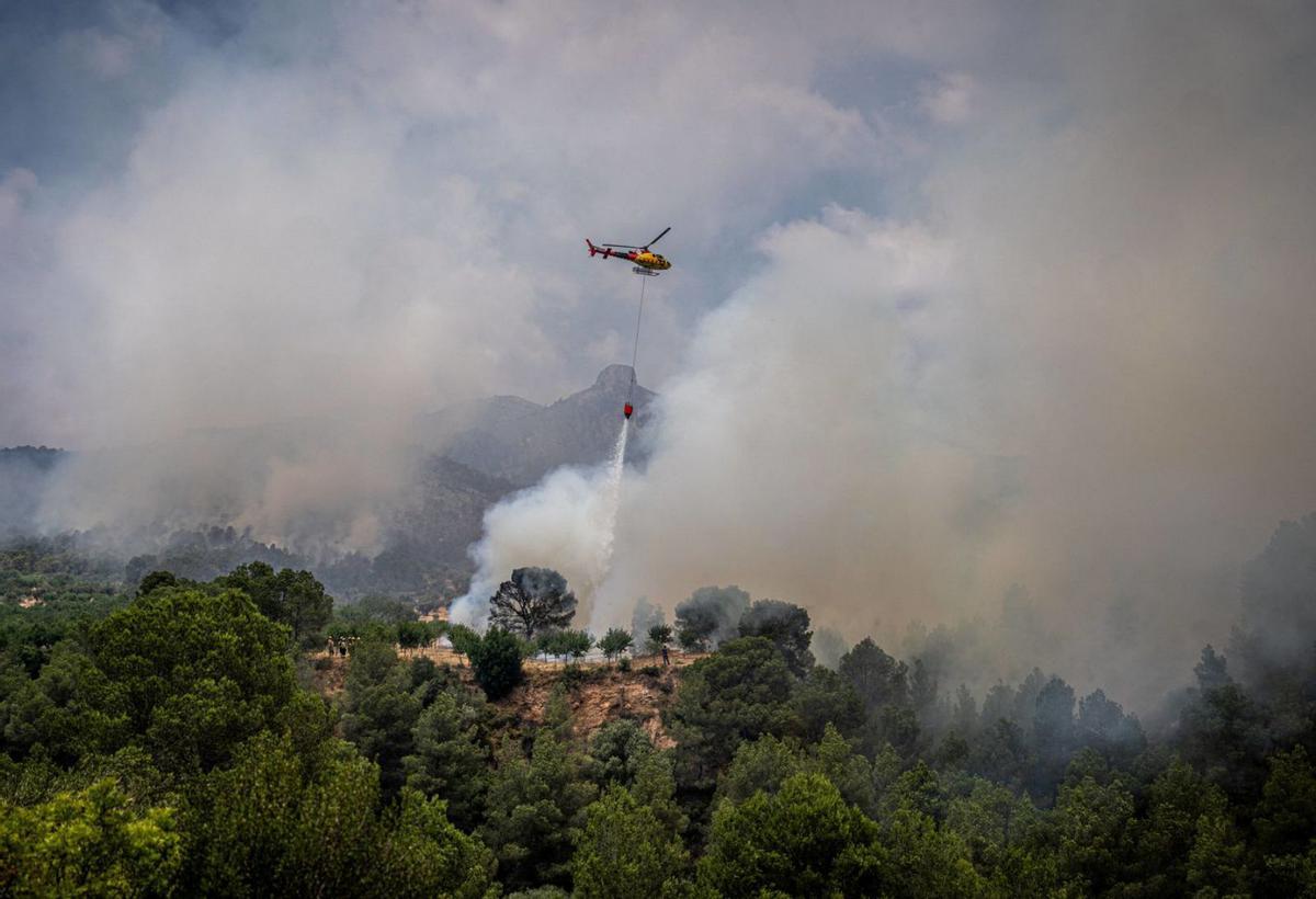 La IA revoluciona la prevenció d’incendis i l’anàlisi dels boscos