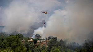 La IA revoluciona la prevenció d’incendis i l’anàlisi dels boscos