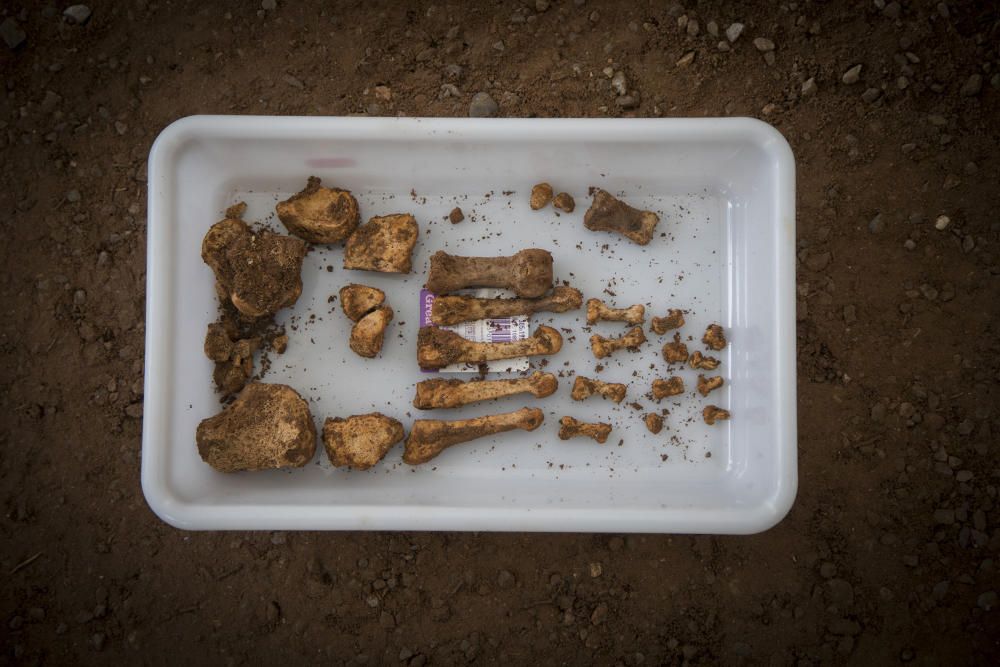 Exhumaciones en el cementerio de Castelló