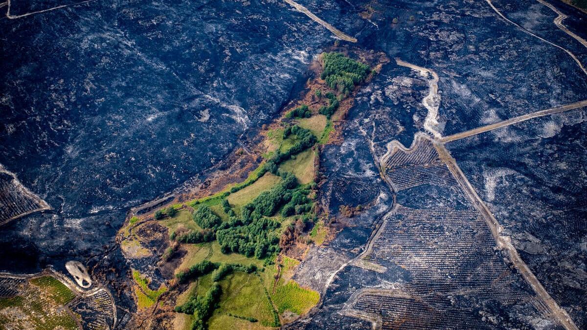 Superficie quemada por los incendios de 2025 en Vilardevós (Ourense).
