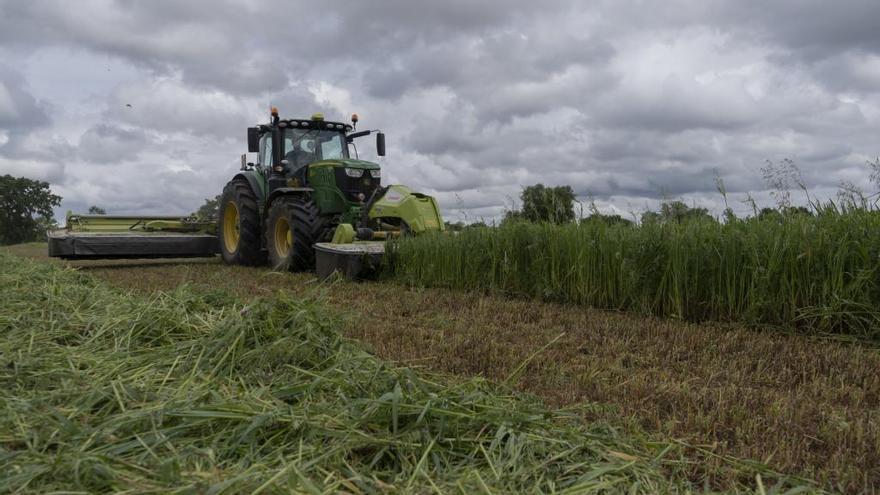 Labores agrícolas en la parcela de Zamora durante el estado de alarma