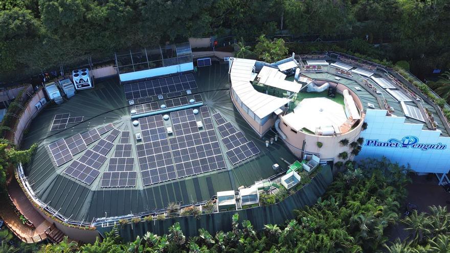 Placas fotovoltaicas situadas en Planet Penguin en Loro Parque