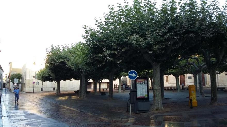 La plaza de Viriato, esta mañana.