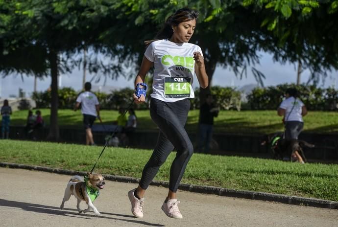 16/12/2018 LAS PALMAS DE GRAN CANARIA. Carrera ...