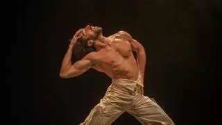 El relincho del centauro