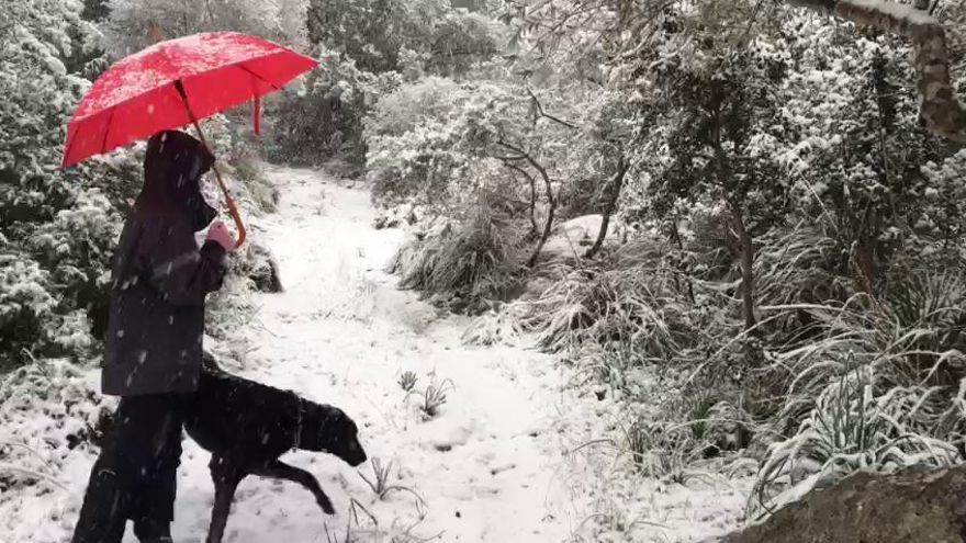 Winter Wonderland: Schneefall in Puigpunyent