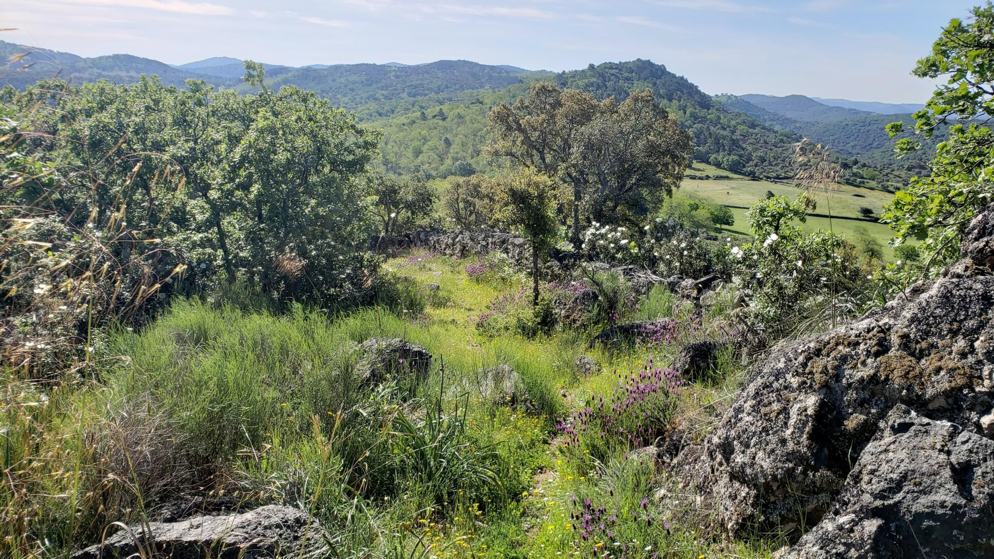 Parte de la ruta Las Cumbres