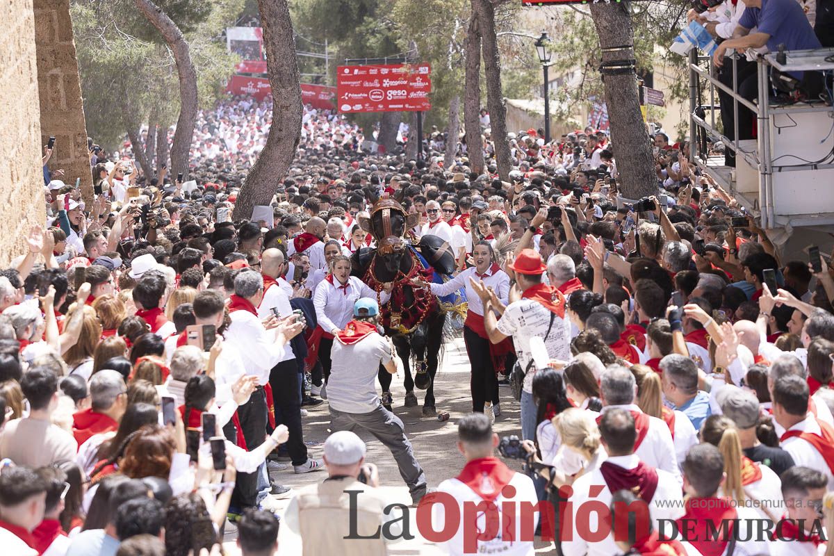 Así se ha vivido la carrera de Los Caballos del Vino en Caravaca