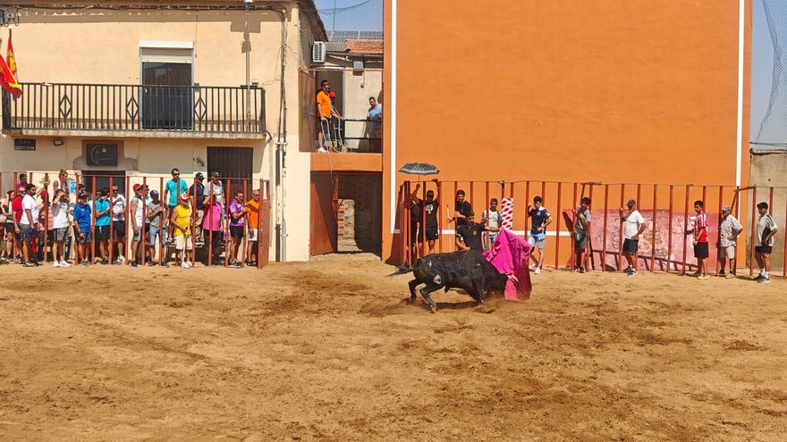 GALERÍA | Animado encierro urbano en Castrillo de la Guareña