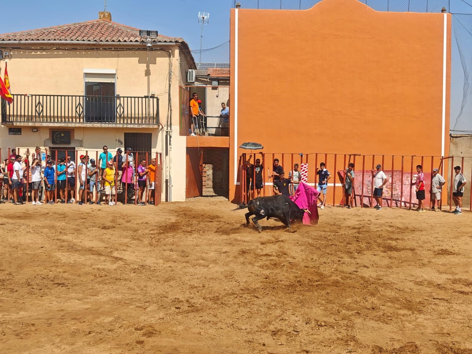 GALERÍA | Animado encierro en Castrillo de la Guareña