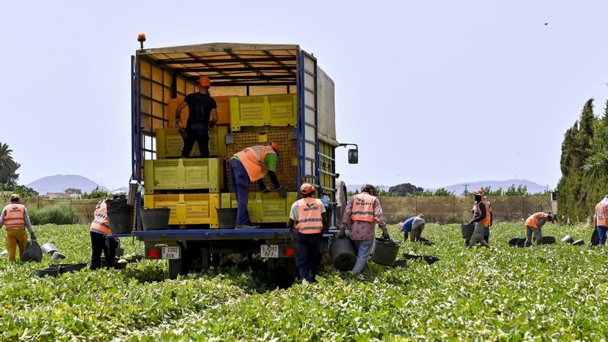 El 'Brexit' y el aumento de competencia frena la venta de verdura congelada  en Murcia