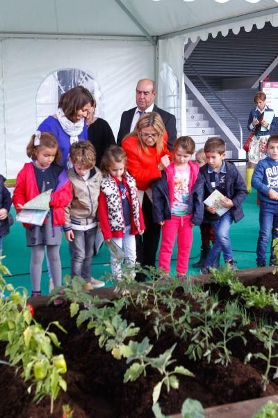 Ecocultura Zamora 2016