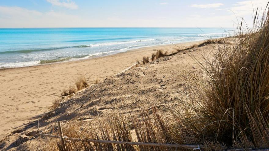 El Gobierno arranca la regeneración de arenas en la Costa Blanca por la playa de Les Deveses de Dénia