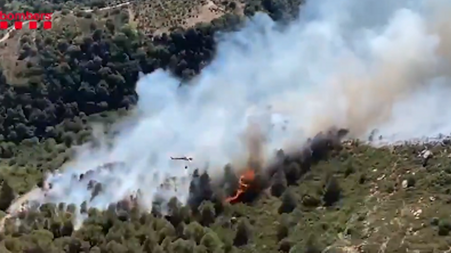 Incendio en Alforja (Baix Camp)