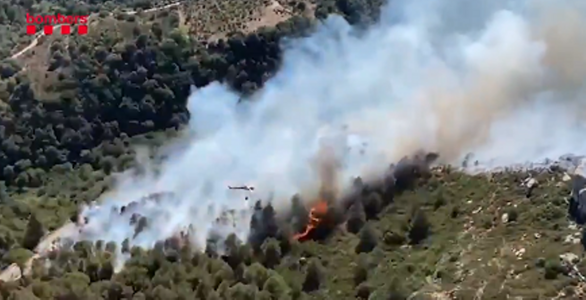 Incendio en Alforja (Baix Camp)